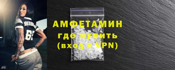 ECSTASY Бородино